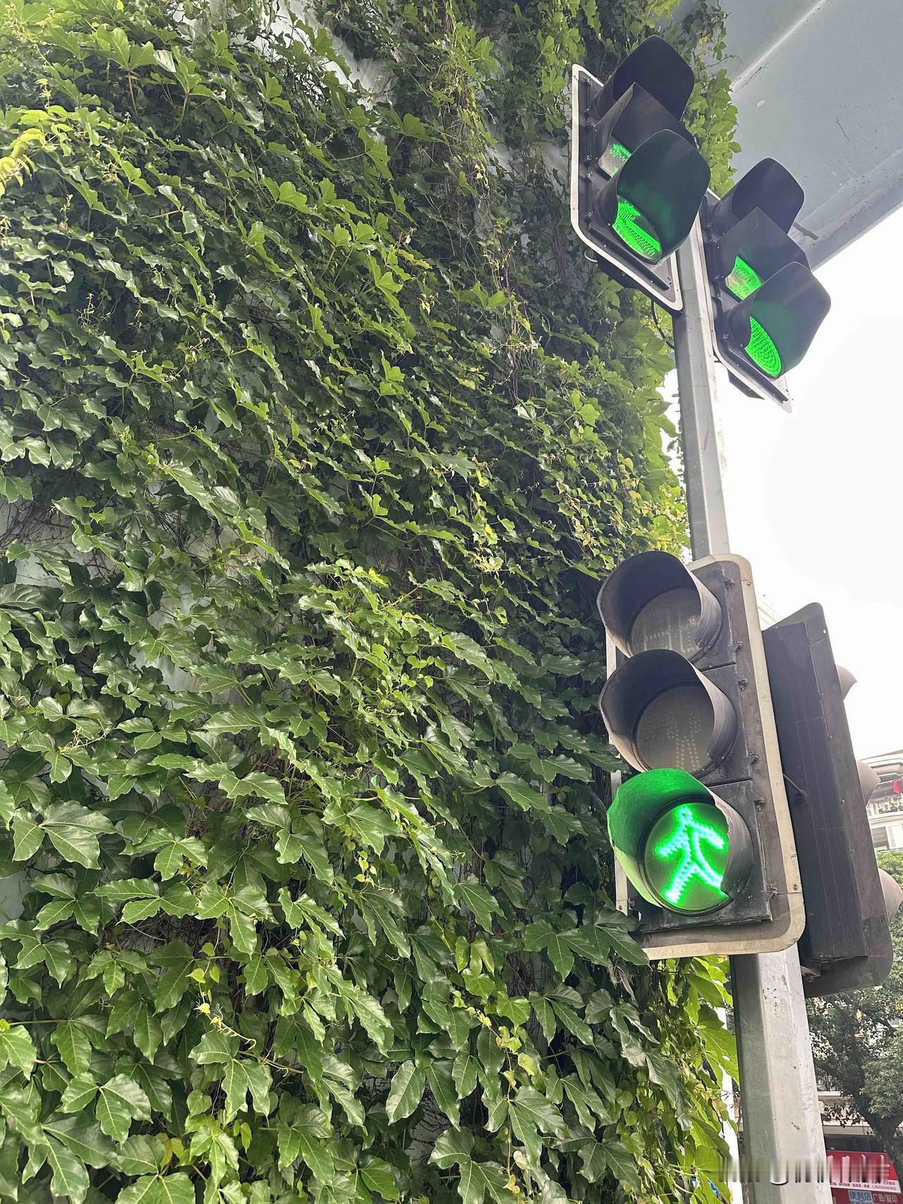 随拍。