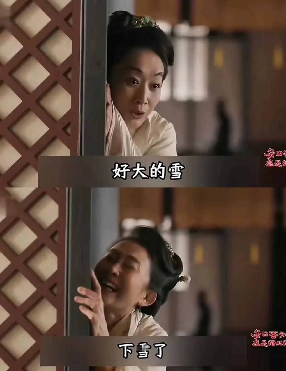 重温《知否》时刷到网友提问：平宁郡主装疯时为啥总说“下雪了”？这问题一出来，倒让