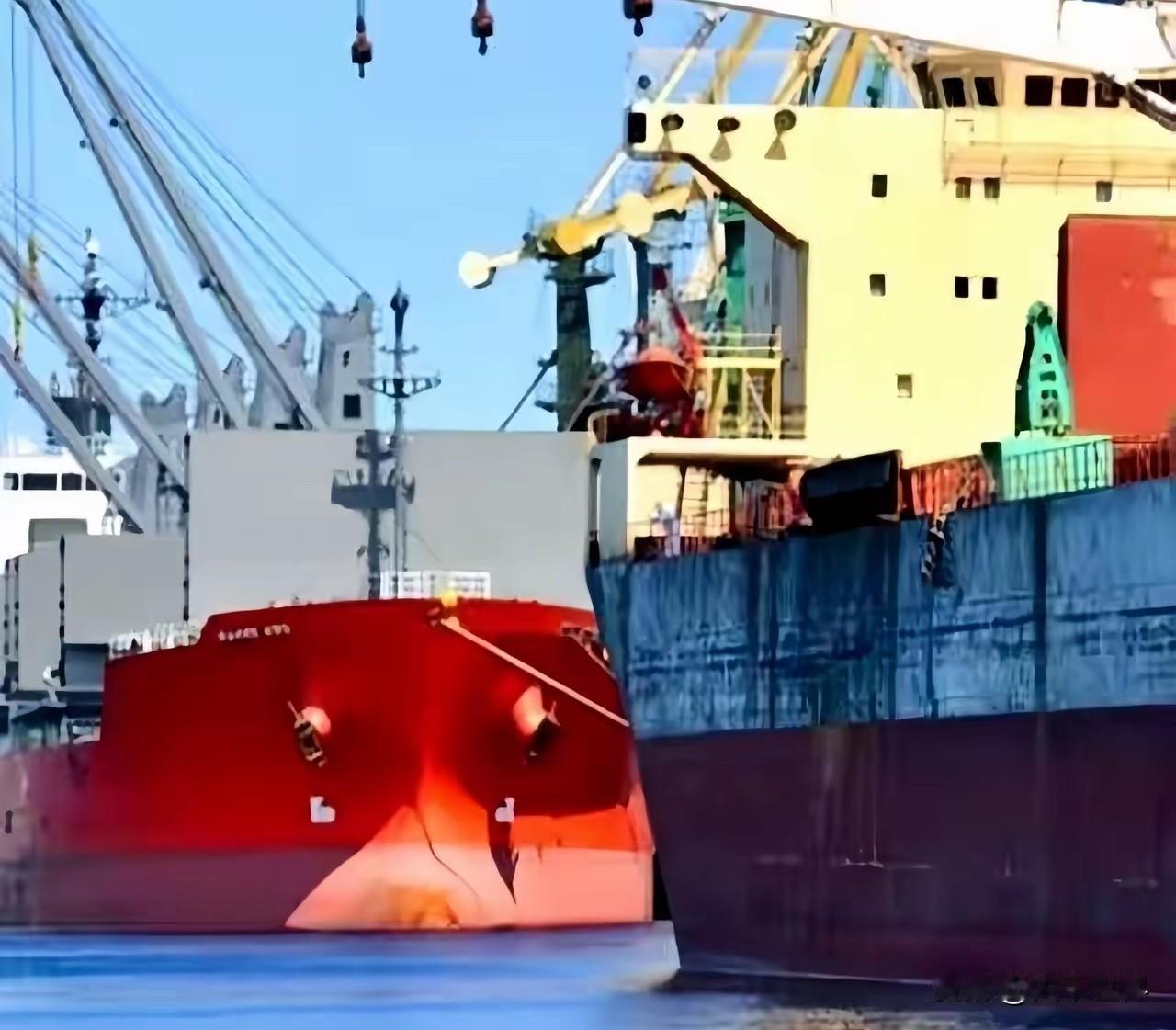 一艘满载6.9万吨巴西大豆运到家门口，被我们原路退回！
巴西农业部说了，中国在一