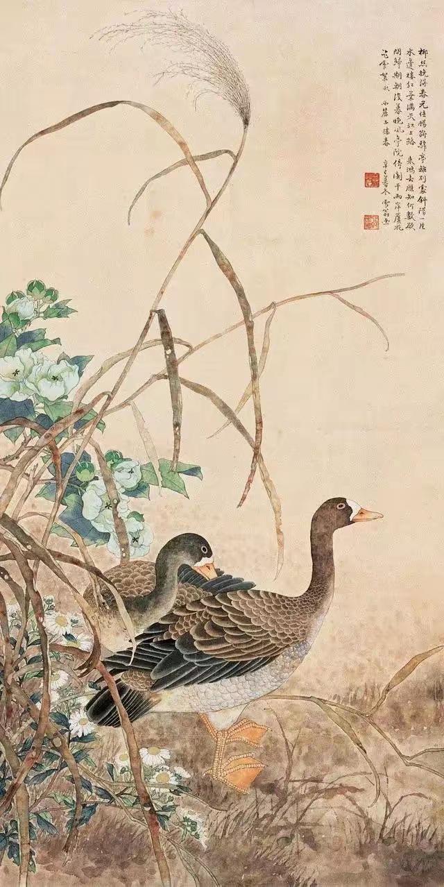 陈之佛为什么把工笔花鸟画得这么干净！

有些花鸟画，第一眼靠艳；陈之佛的画不一样