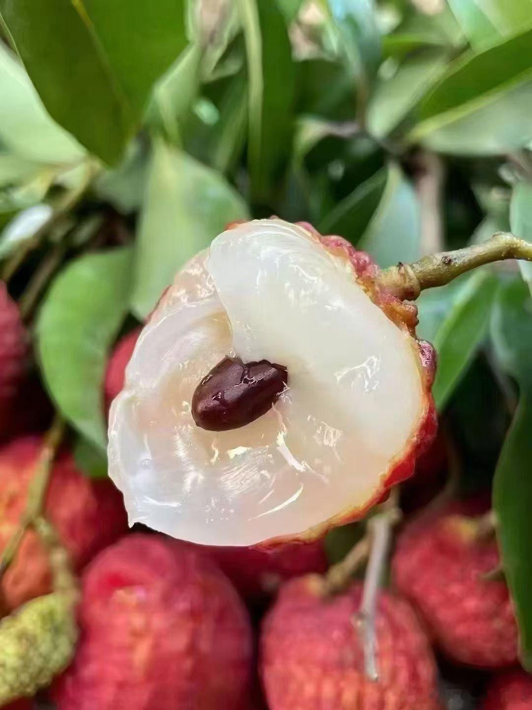 老妈拿来的仙进奉荔枝，好吃，非常甜。 