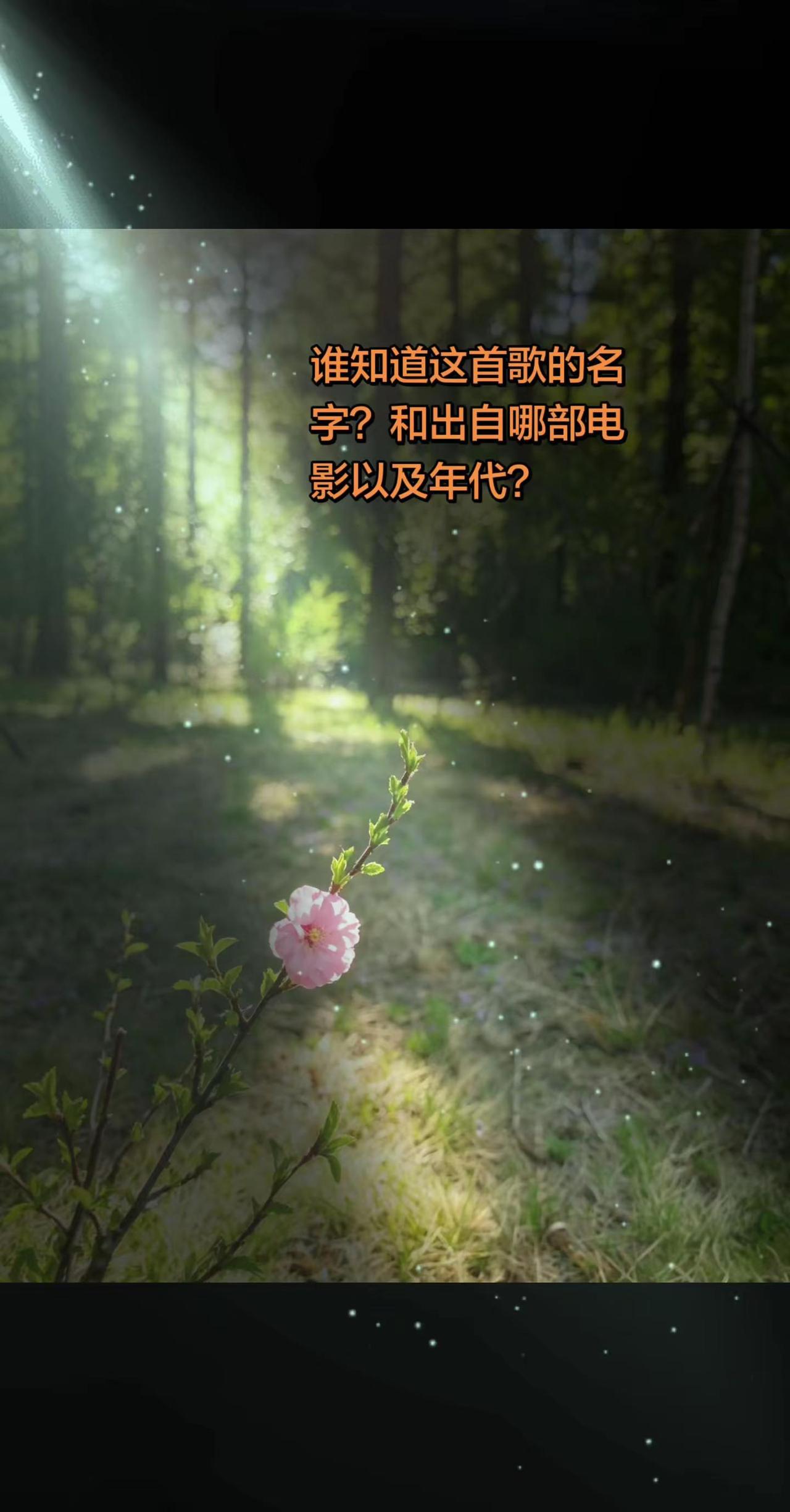一首歌。一个故事，一段岁月