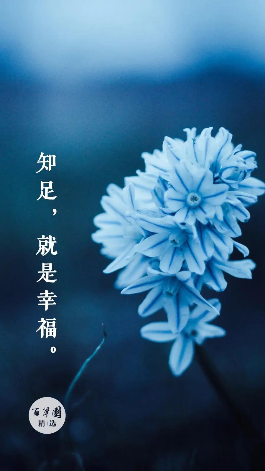 人活在这个世界每天健健康康地活着就是幸福，不论你有多少钱，有多高的权势和地位，失