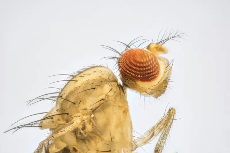 智飞、沃森、康希诺、万泰对比
 
智飞生物（300122）
 
- 核心产品：代