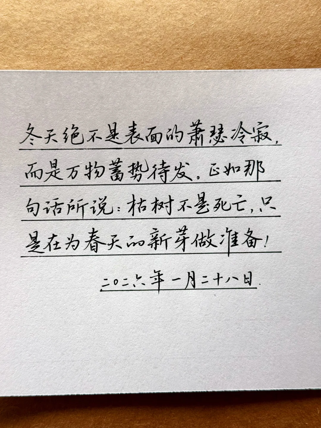枯树不是死亡，只是在为春天的新芽做准备