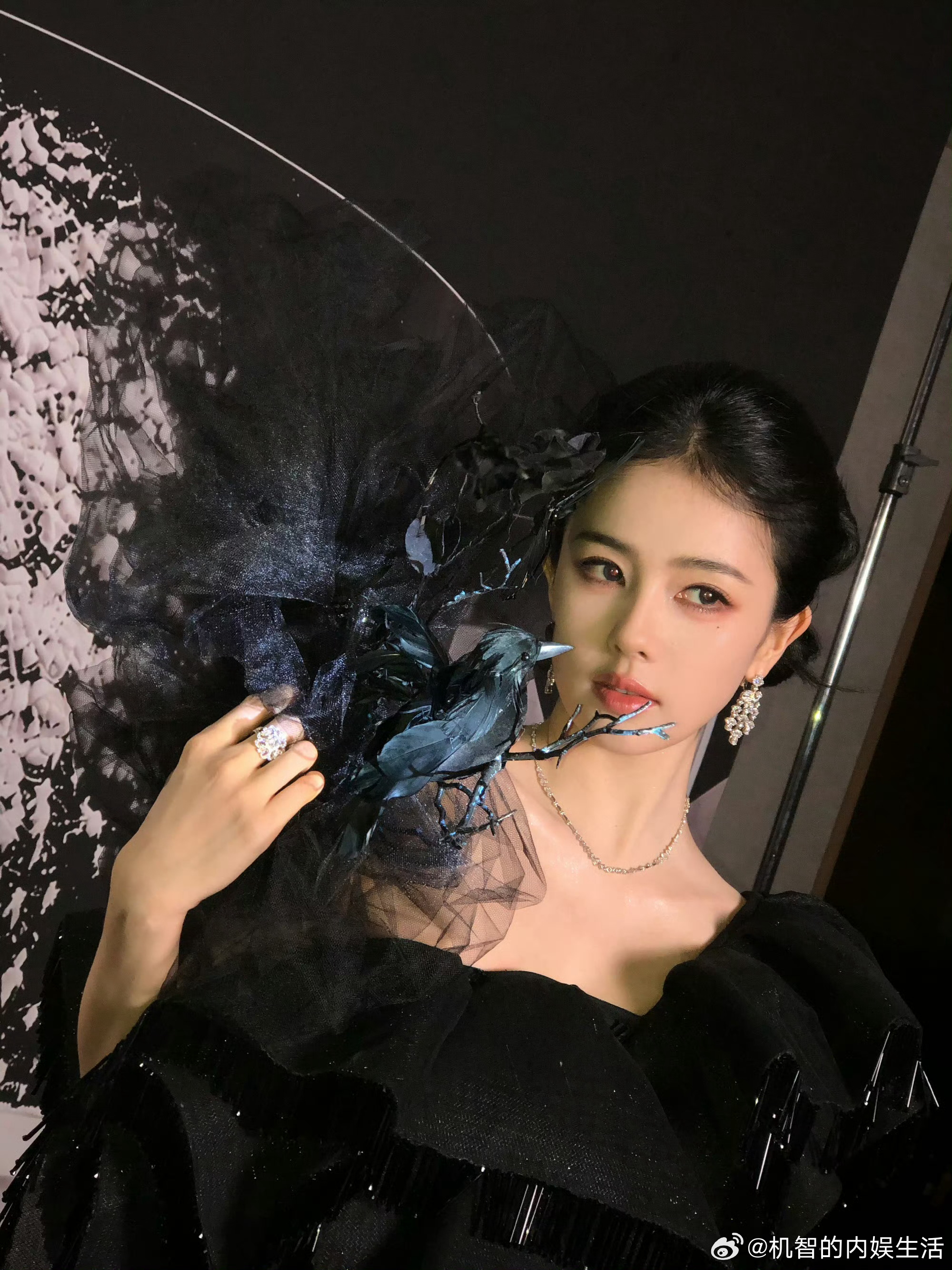 这还用说？当然是因为火啊。白鹿是当红女明星，本来就早就定了啊，16号就已经拍摄了