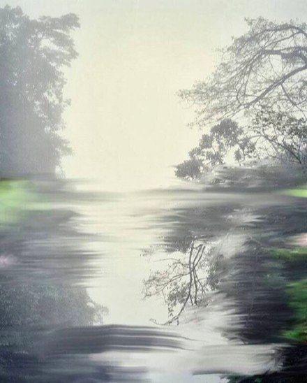🌫️水面把天空揉碎成絮状，树影在云里扎根🌳 光和雾在玩叠影游戏，自然的镜像从
