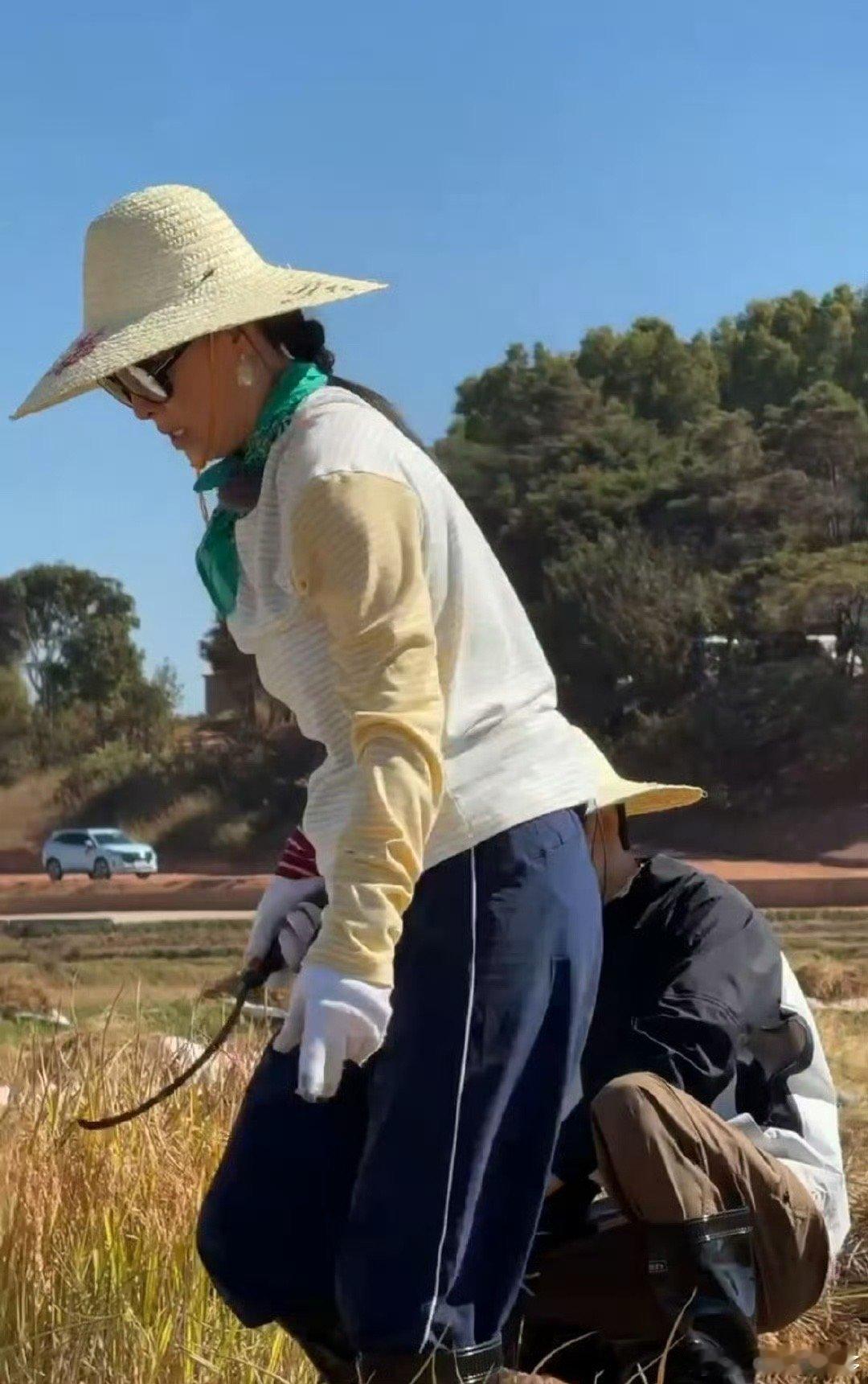 那英上芒果综艺命很苦的样子 别人上综艺美美摆拍，那英上芒果台直接“沉浸式吃苦”！