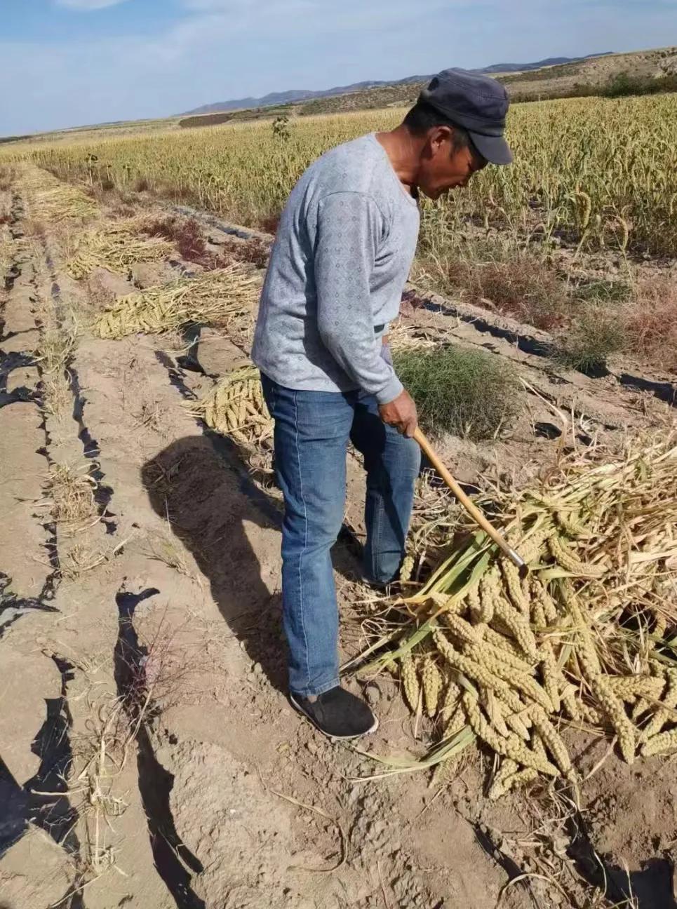 真是寒心！浙江杭州，69岁老大爷常年以种地为生，攒下了小20万，3年没来看我的儿