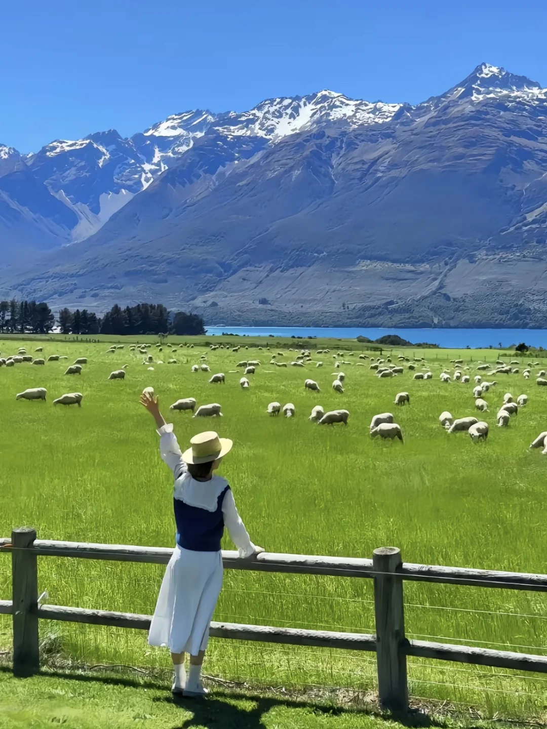 🇳🇿新西兰7天丝滑下签！春节去南半球过夏天