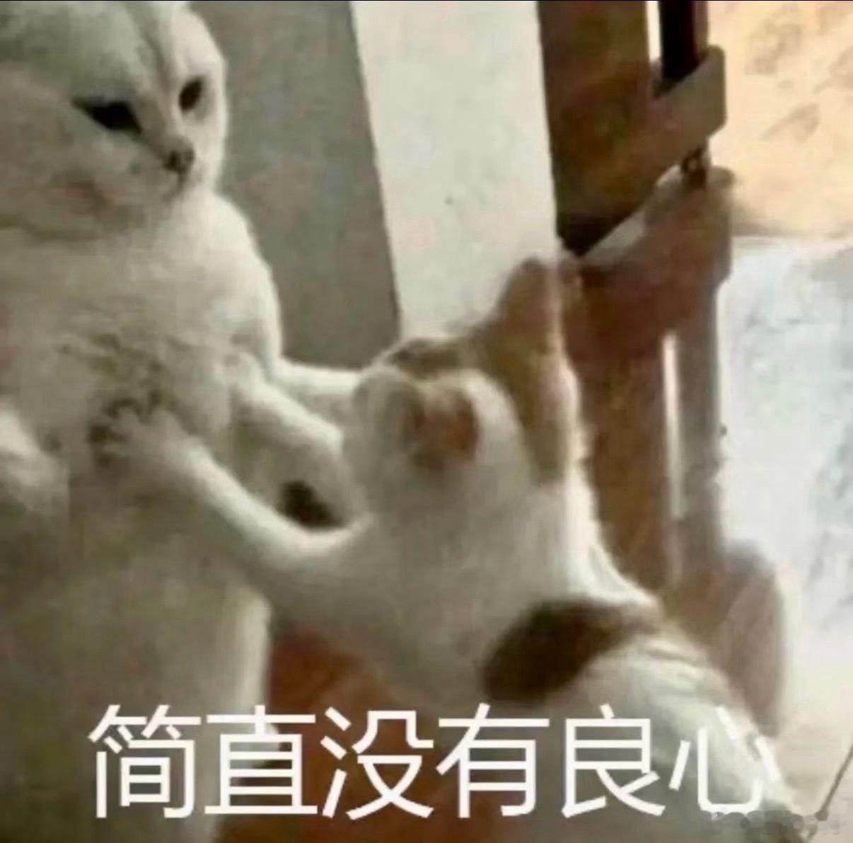和表妹讨论她排行的问题，她一直都觉得自己是中女（怀疑父母之前有丢胎但没告诉她）。