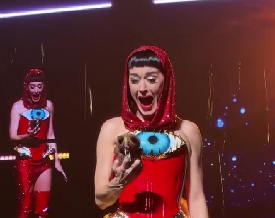 11月22日，在Katy Perry于杭州举办的演唱会上，发生了一幕趣味十足的场