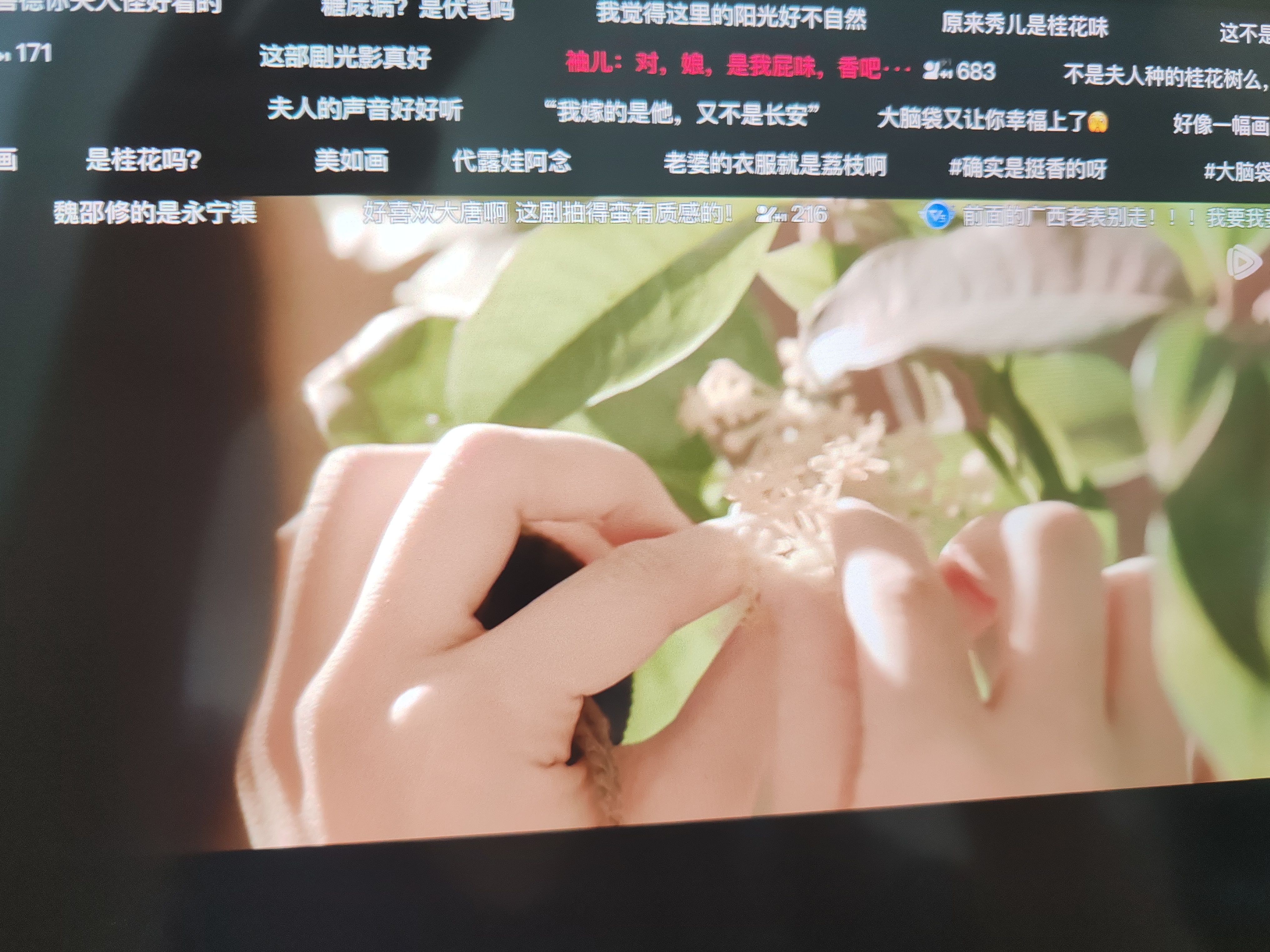 害怕因为某些原因看不了了，我就赶忙去看了长安的荔枝。看了一集，故事性挺强的，演员