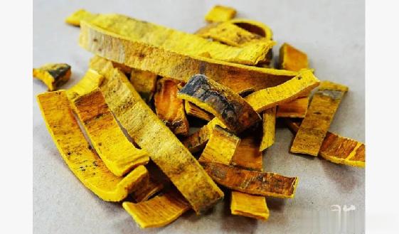 偏方醋调黄柏末，外敷治“痛风及关节肿痛”多例，收效迅速[赞] #每天一味中草药#