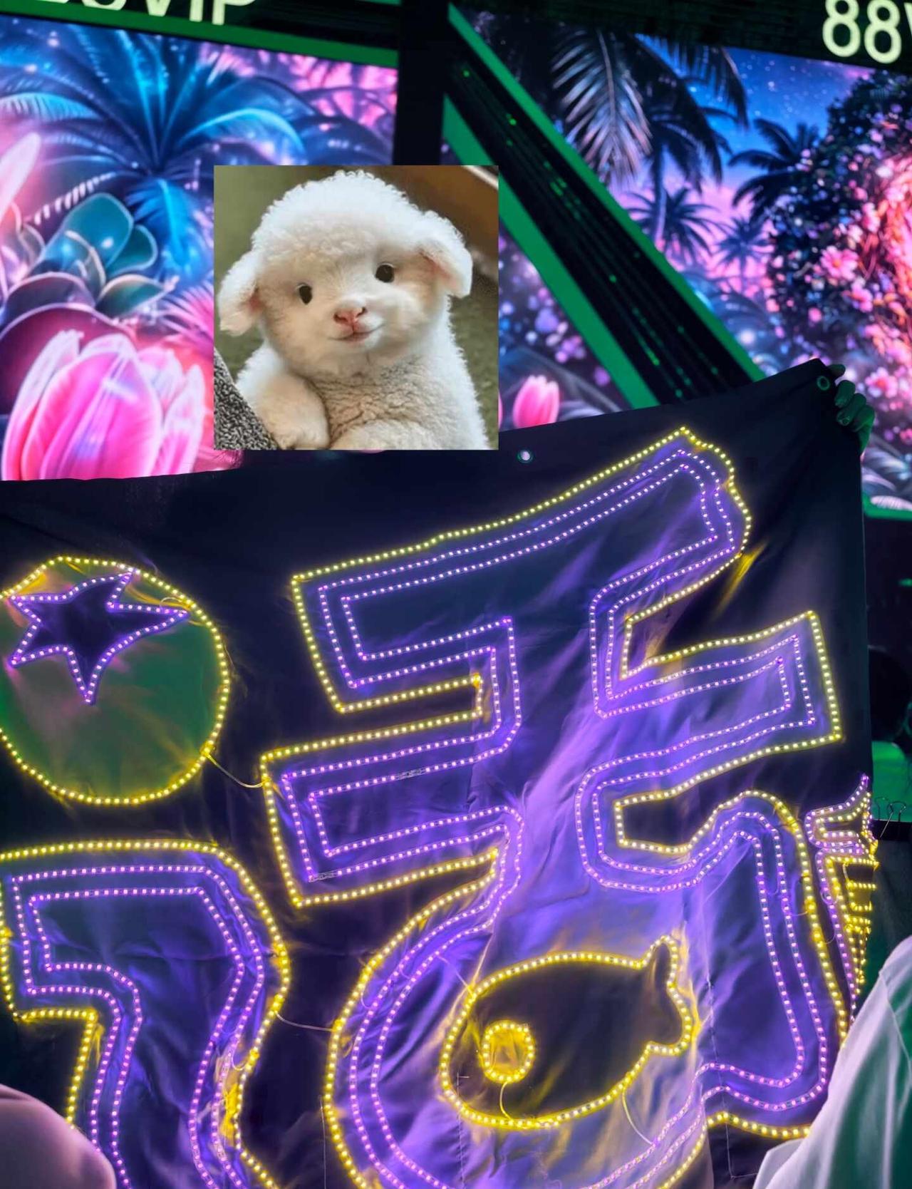 一眼万年三周年
哈哈哈。是的。我是跟刘教练跳操认识你的。发疯一样搜物料到两点的夜