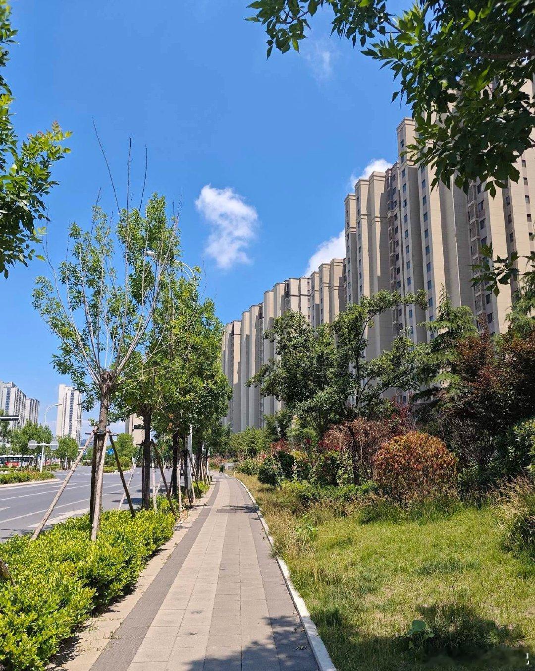 端午监管密集亮剑！10家A股公司违规爆雷原因全拆解！6月18日端午假期前最后一个
