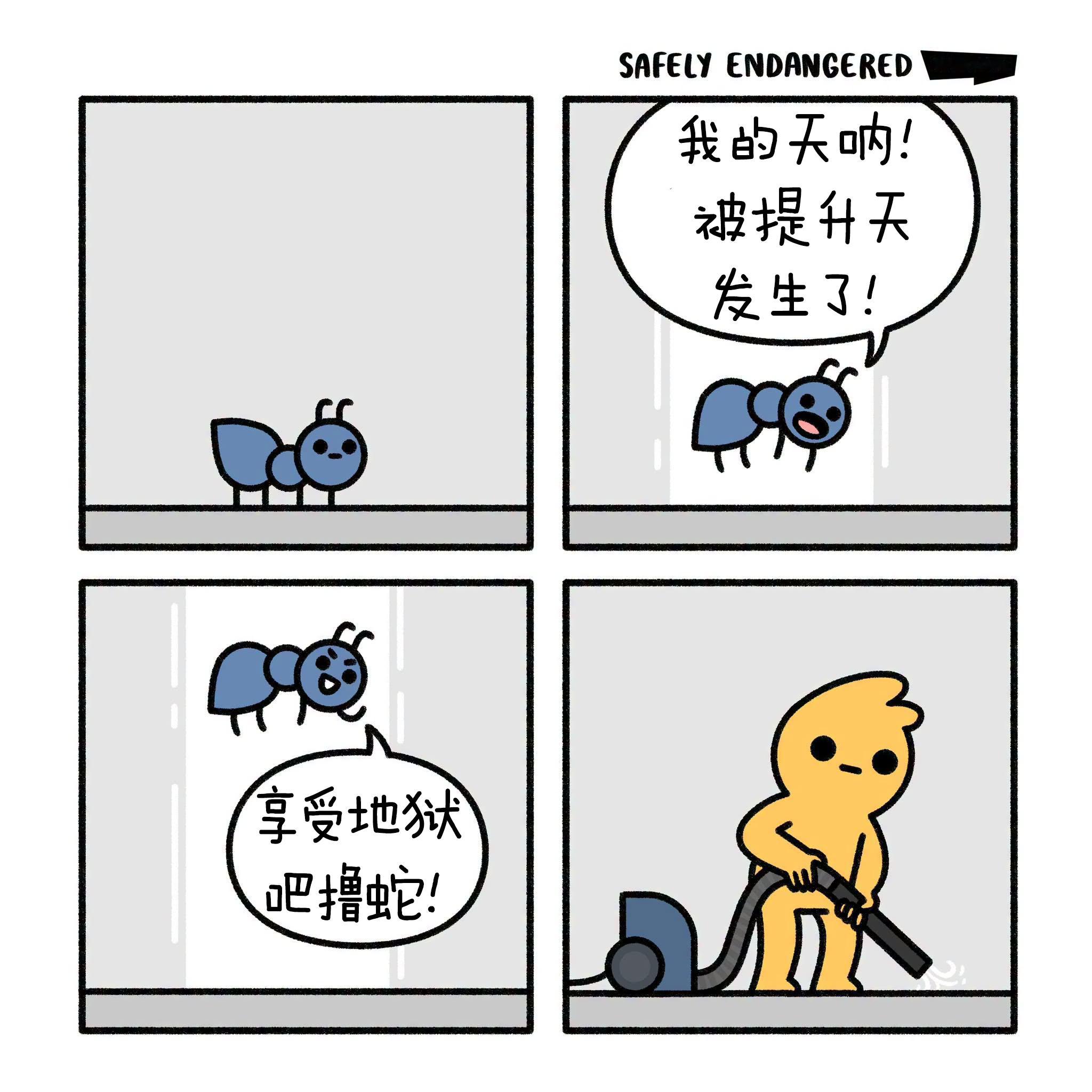 明天的“被提”，是按时区进行的，还是大家会同时被提？ 