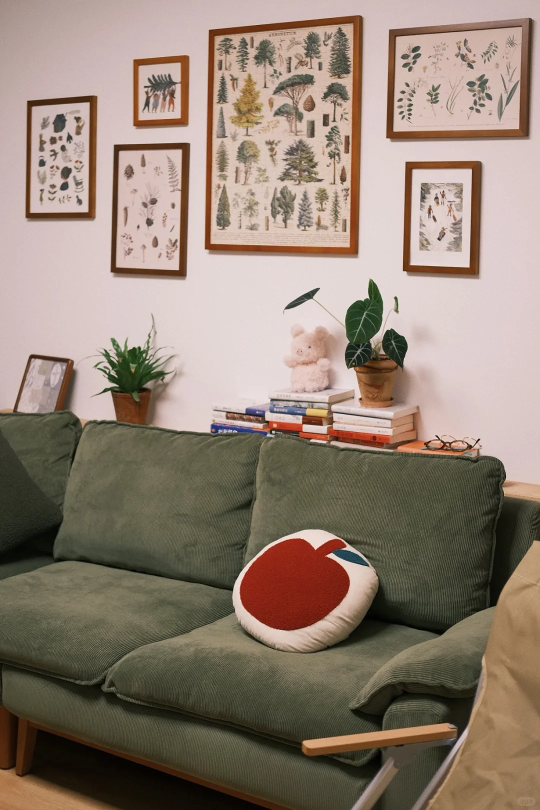 点缀生活的鲜花✨