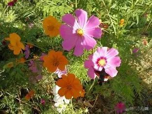 #秋日生活打卡季#
北京奥林匹克森林公园绝对是宝藏公园！

放眼望去
五颜六色的