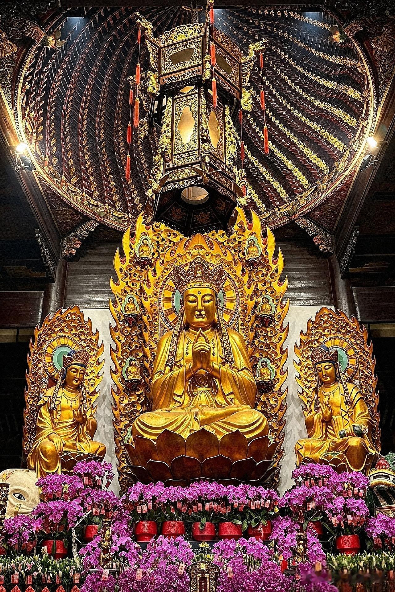 大多数游客逛龙华寺都会漏掉！大雄宝殿背面藏着绝美秘境
 
来上海游玩，不少人直奔