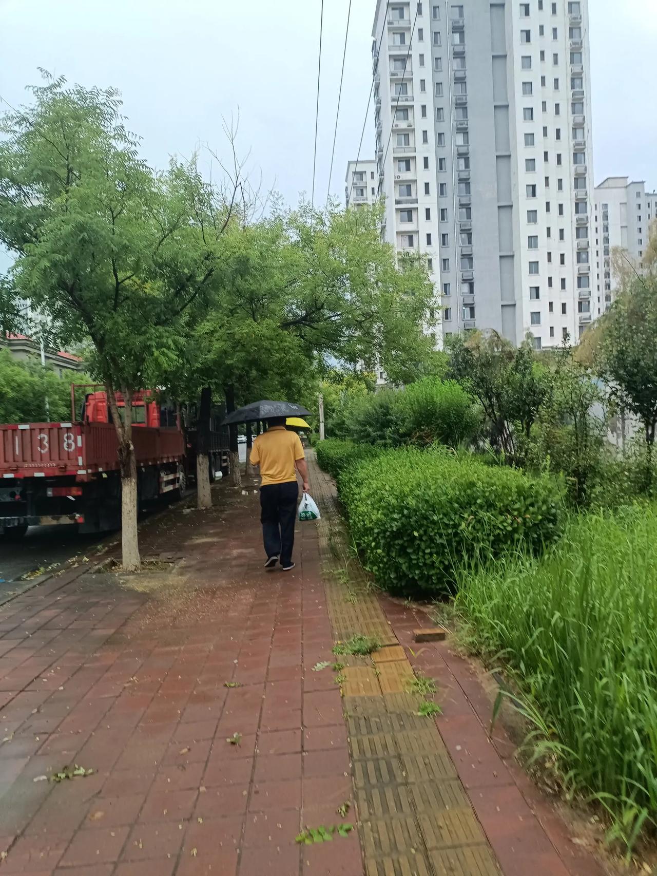 女人丧偶后有委屈，
很正常，但这个委屈没地发泄，
对婆家没理由，
不能发泄，
也
