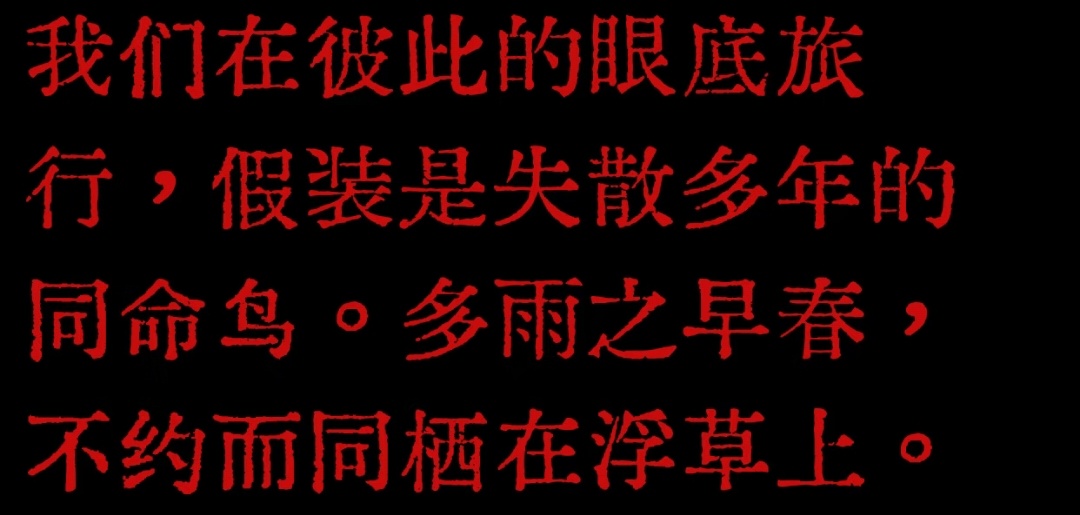 我们在彼此的眼底旅行假装是失散多年的同命鸟多雨之早春，不约而同栖在浮草上/简媜《