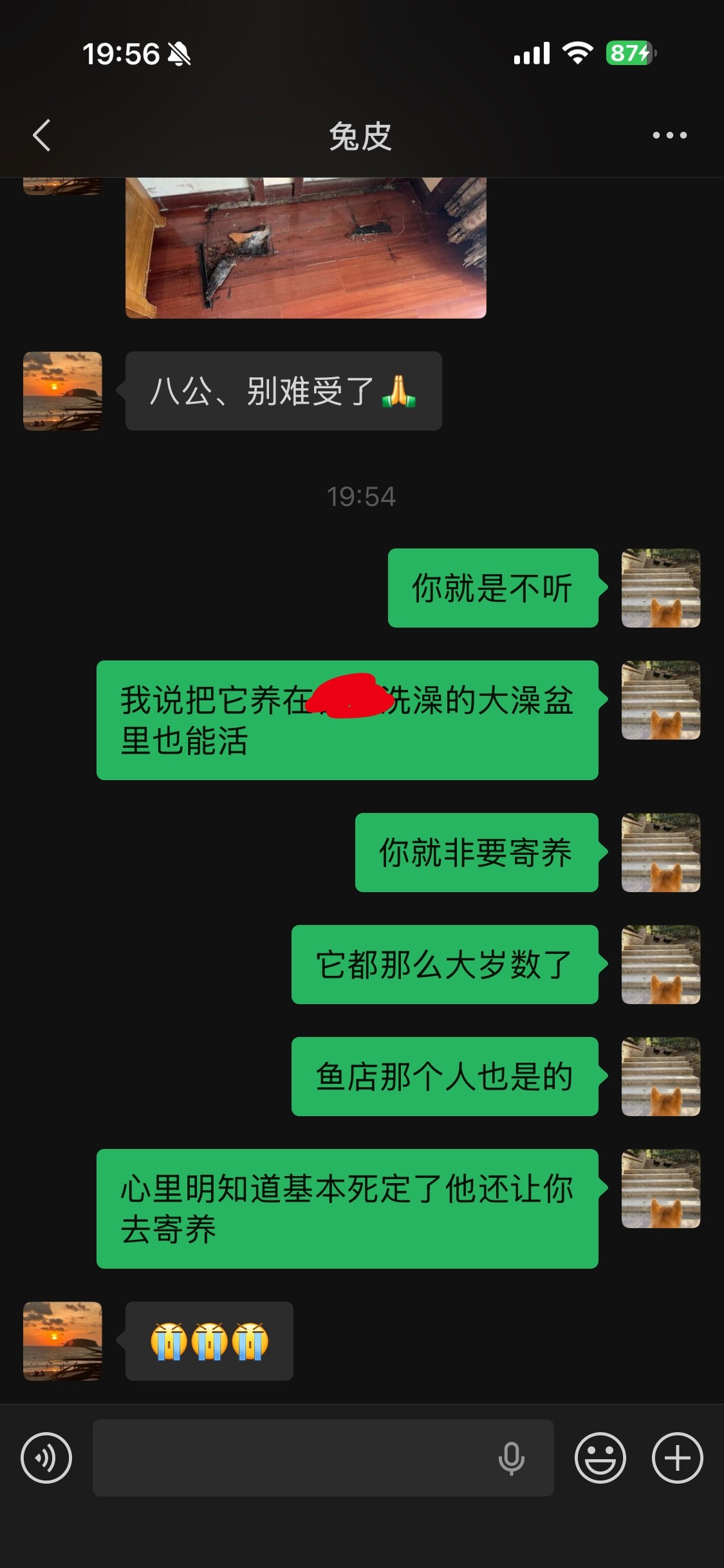 唉，真难受，都怪老酱，这么多人草菅鱼命，生命真的太随机了，完全由不得自己，其实本