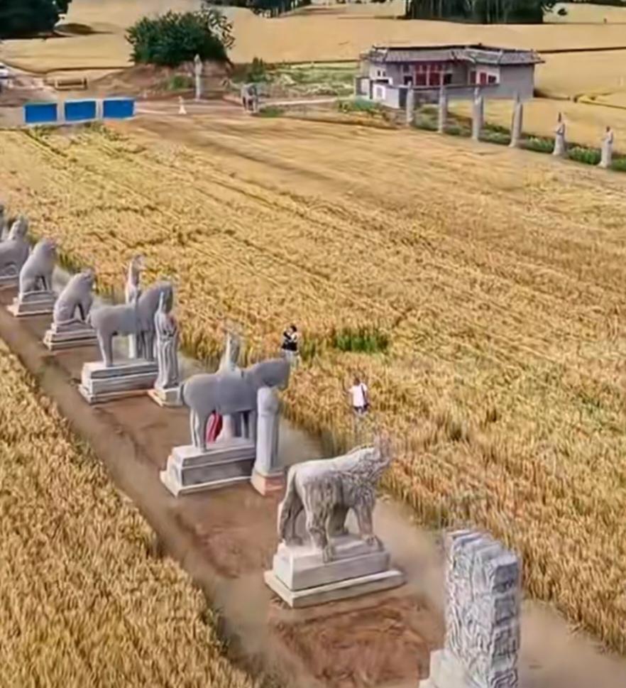 听说有人建议给河南巩义宋陵的石像生加装玻璃罩以加强保护，巩义文物局局长对此回应：