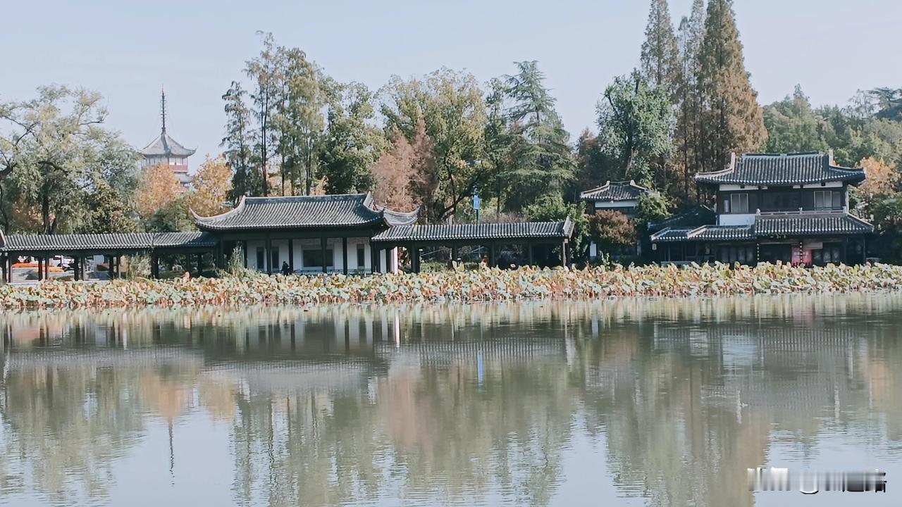 我以镜头为笔，将每一刻的美好镌刻于相册之上，这便是我的摄影日记。*͈ᴗ͈ˬᴗ͈ෆ