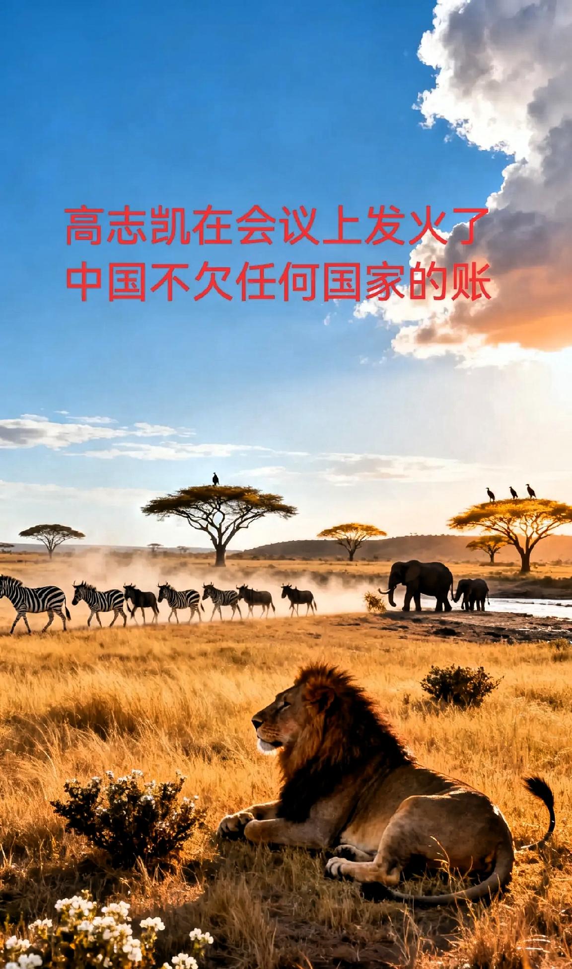 中国不欠任何国家和任何人的。在一次国际会议上，有一个非洲国家的代表突然发难，说中