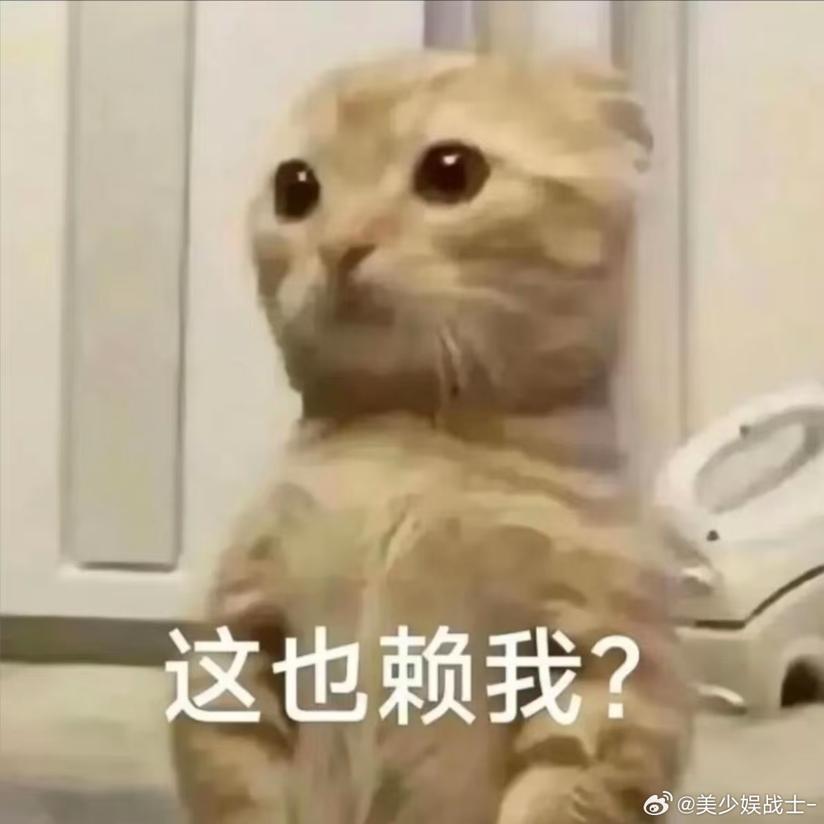 每天上班的精神状态 每天上班主打一个精神分裂，表面端坐如佛，内心早已翻江倒海。脑