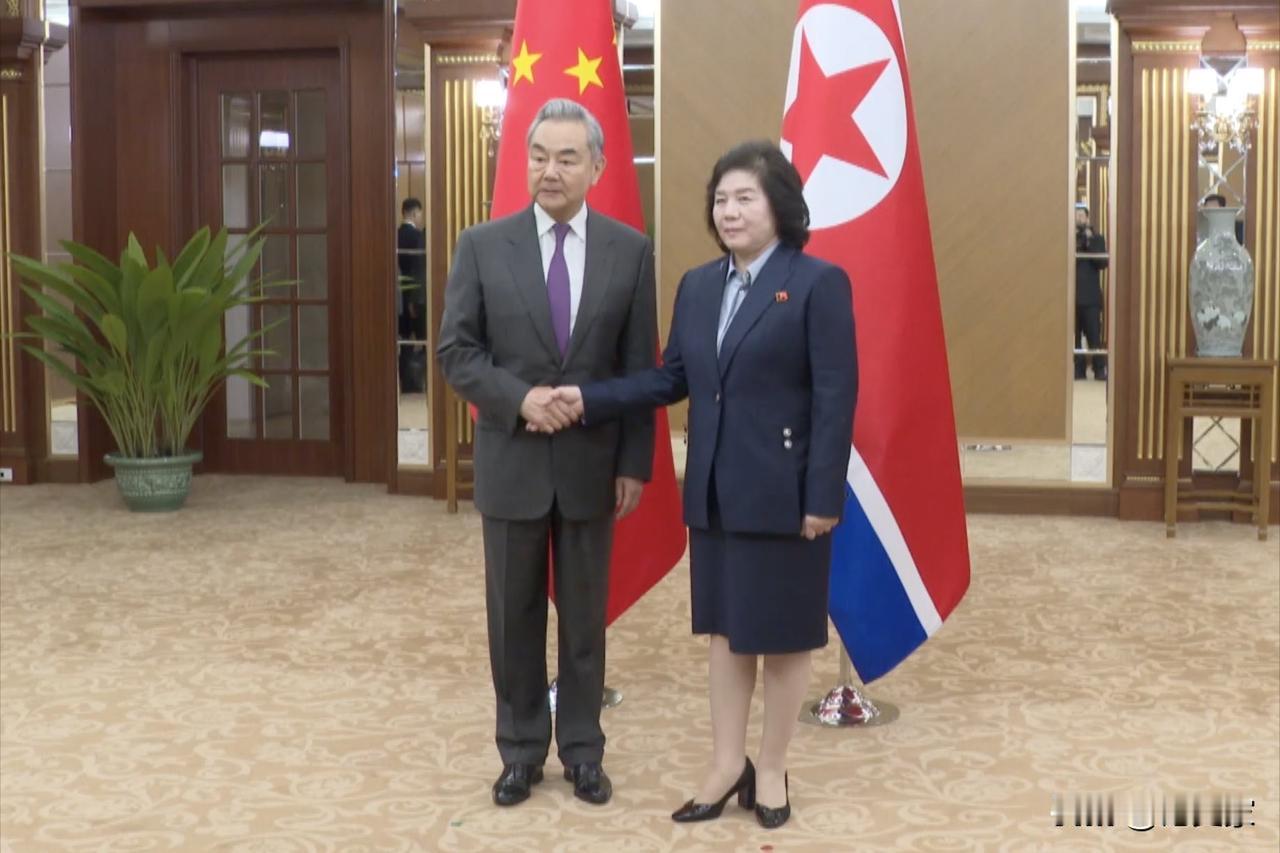 这下日本睡不着了

当地时间4月9日，中国外长王毅与朝鲜外相崔善姬在平壤举行会谈