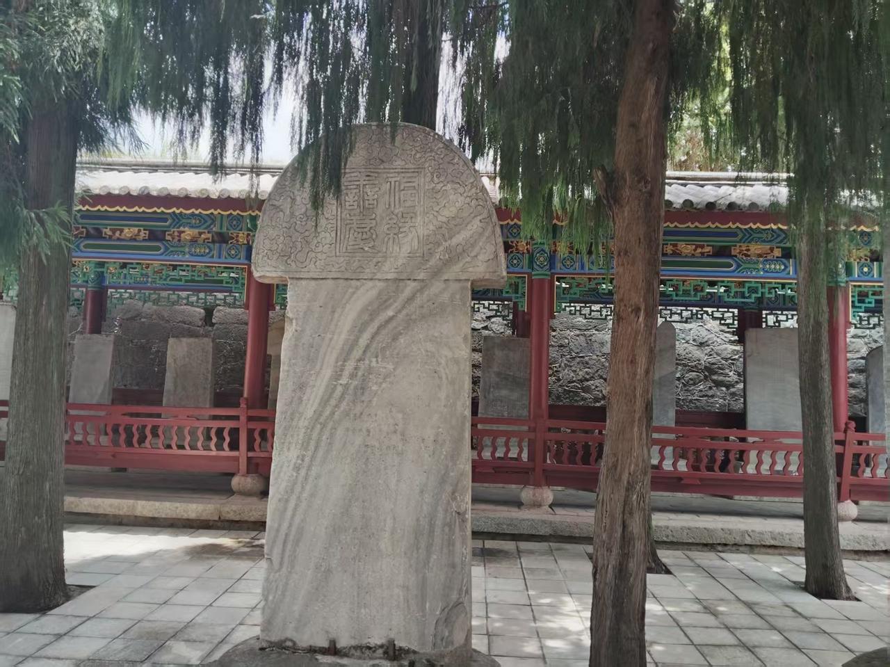 顺治的四皇子:         老爹，你要是低调一点也许我就不会这么早噶了。

