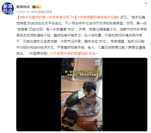抱冬瓜睡觉的第一批受害者出现了抱冬瓜睡觉第一批受害者出现了，半夜"砰"一声冬瓜炸