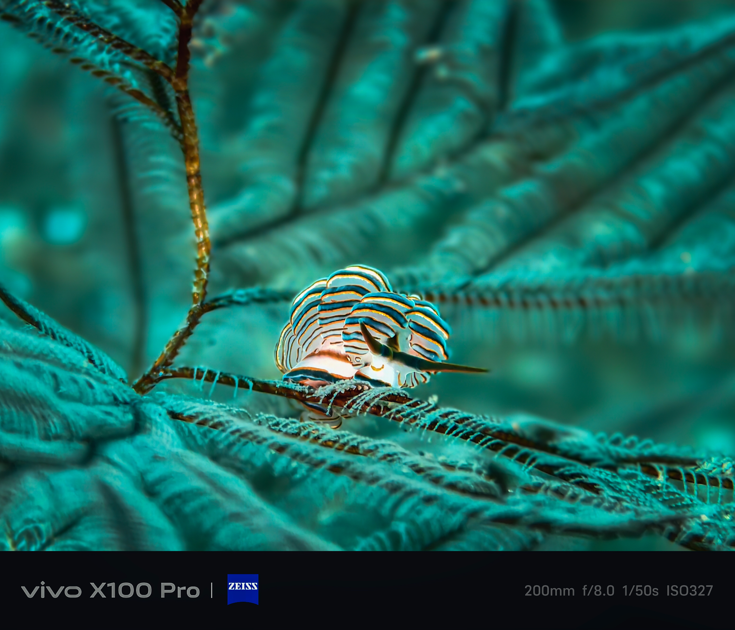 #vivo蓝图影像# vivo「蓝图影像」最新技术，大家看了吗？我也给大家展示一