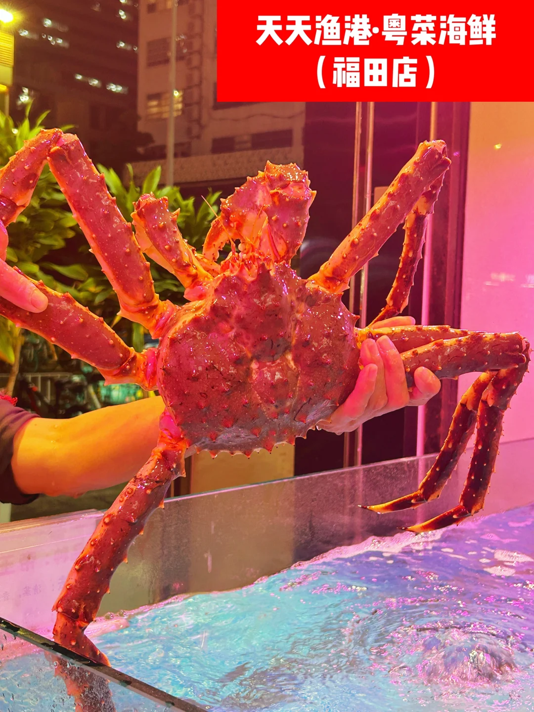 打卡了10086次的美食地标｜深圳游玩必打卡✔️