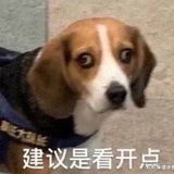 琼彤侃帅哥
