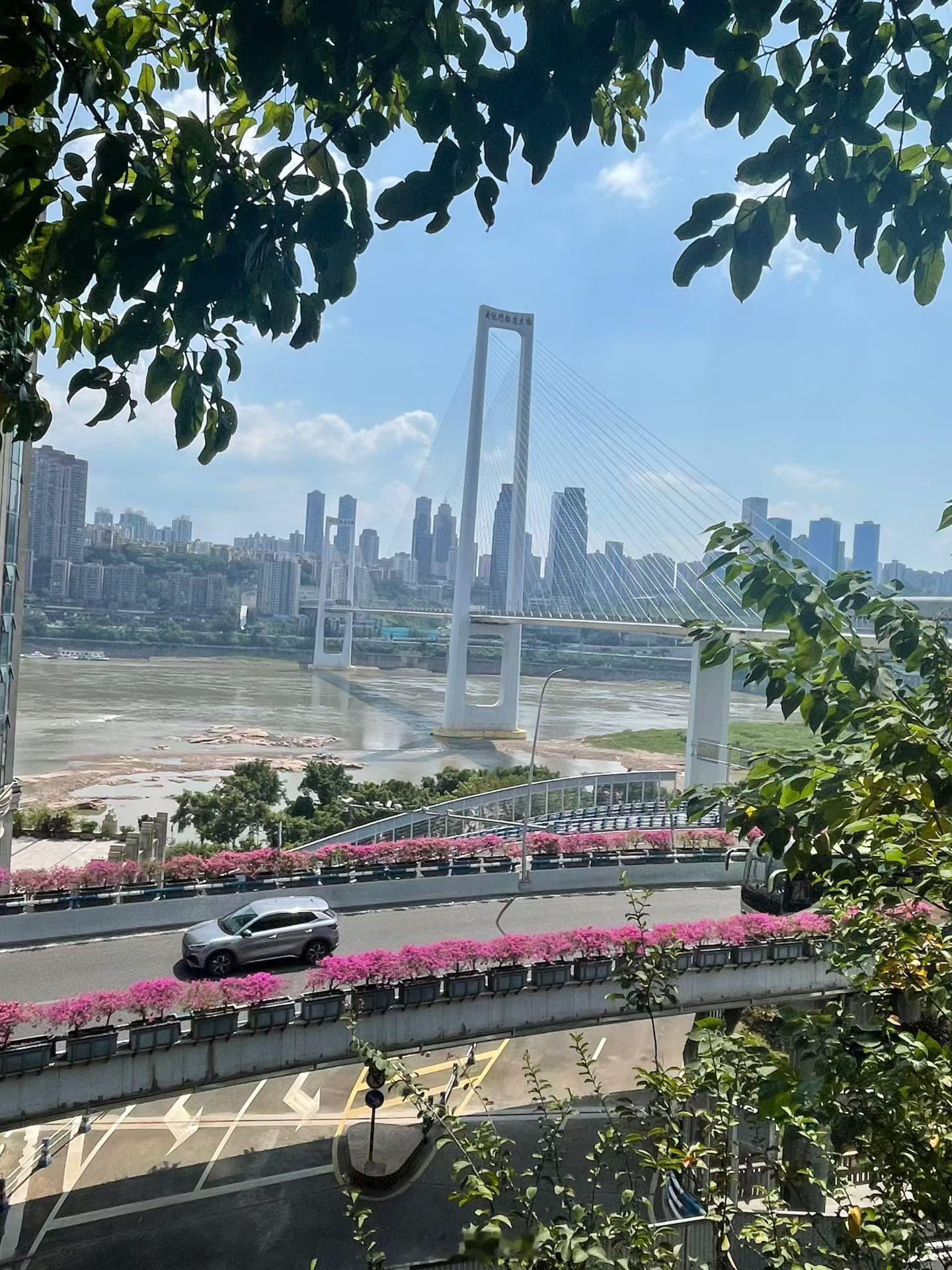 天气不错，周末的下午适合出去走走[酷] ​​​