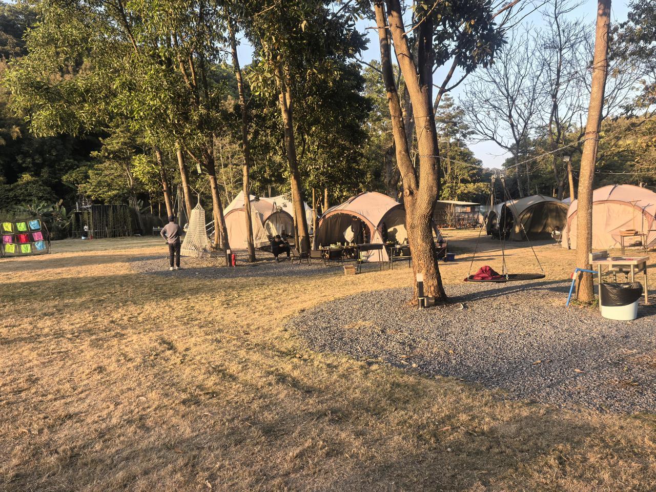 今天的下跌是给韭菜们挖黄金坑，过年🧨前的红包马上要来了，加油💪，大A加油[玫