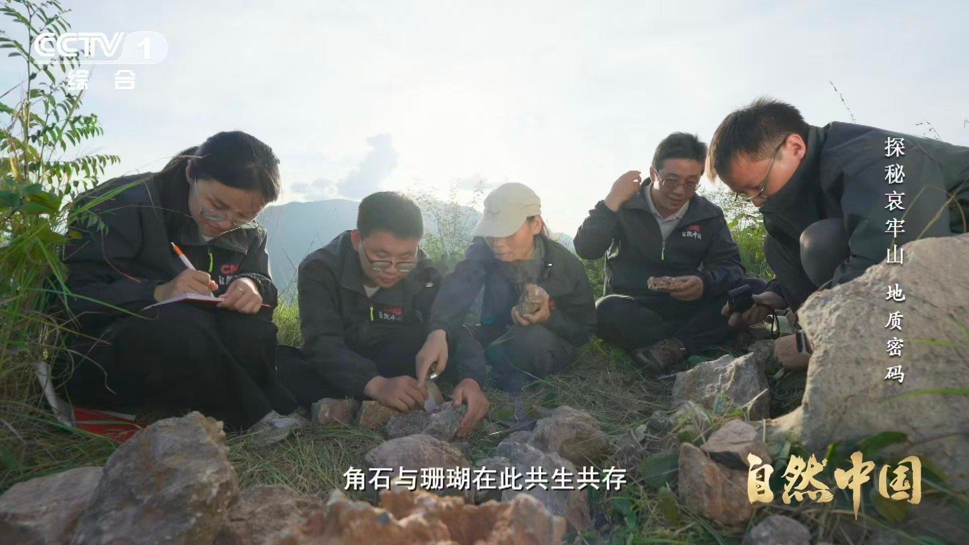 哀牢山顶惊现海底世界哀牢山顶竟藏3.75亿年前珊瑚化石 地球的日记本翻开在哀牢山