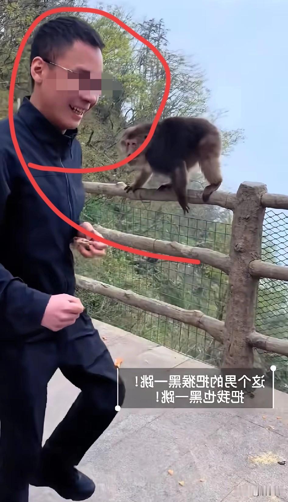 峨眉山推猴这事惹众怒，原因有三：

1. 这个年轻男子是故意的，推完了还笑嘻嘻走