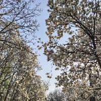 我的今日状态：😁轻松愉快
我这里的天气：☀️晴天