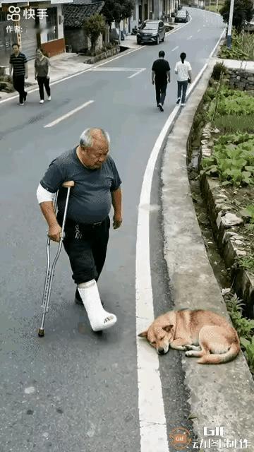 人说七八岁的孩子惹狗闲，这么大的人了咋还惹狗呢，只是报应太快[发怒]