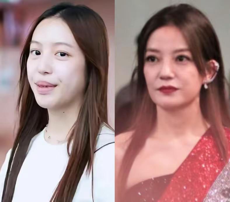 赵薇女儿长得太像她前夫了，尤其是嘴巴，真的拉低了她女儿的颜值。
虽然看着也像赵薇