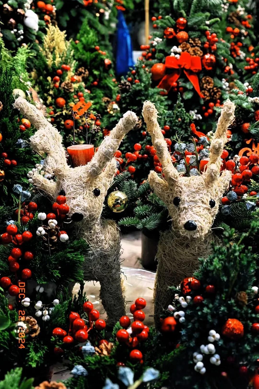 冬天这3个坏习惯，正在偷走你的阳气！第2个几乎人人中招



寒冬腊月，你早上是