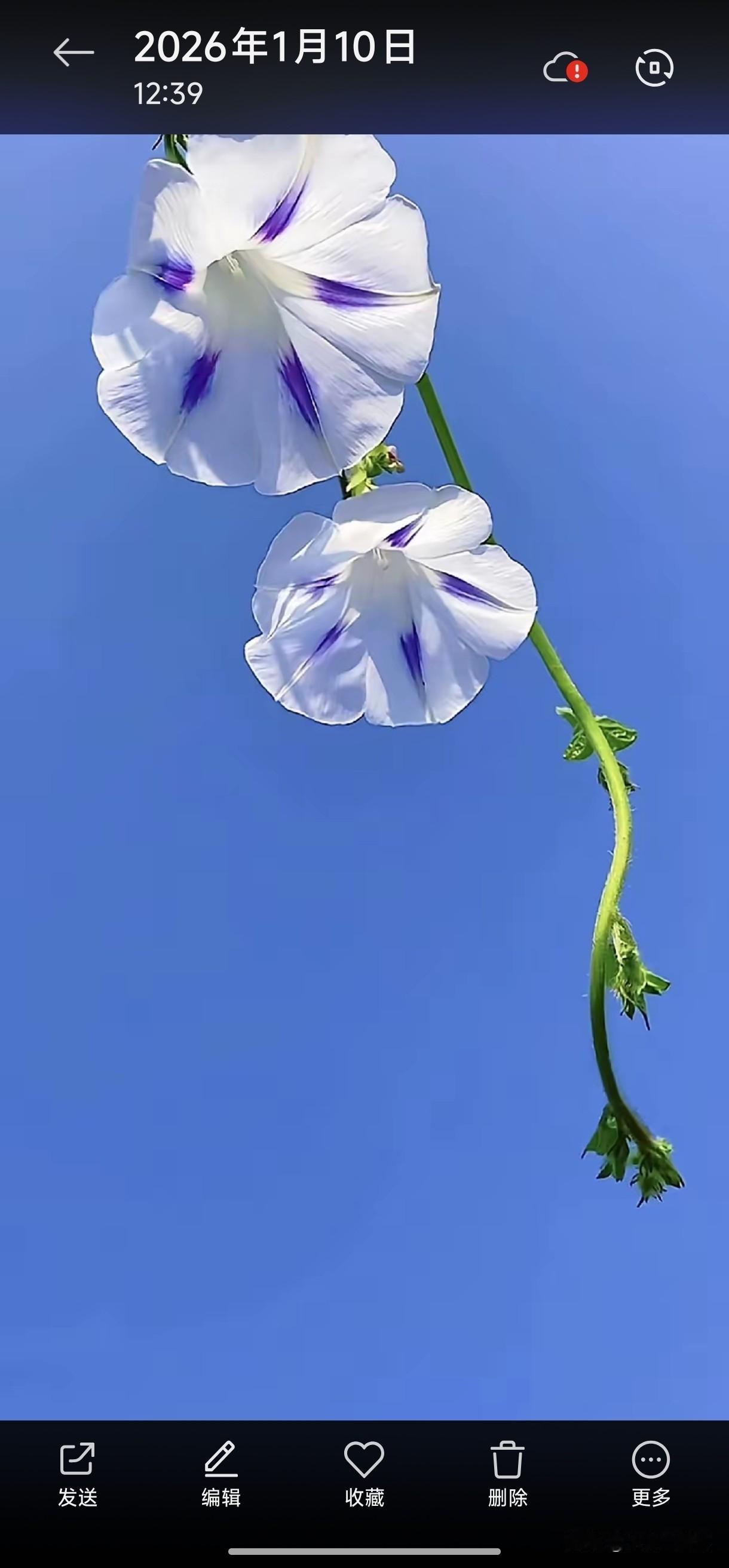 戴旭将军建议不要把军演搞得热火朝天，想的是威震敌人，其实容易把自己的家底抖给敌人