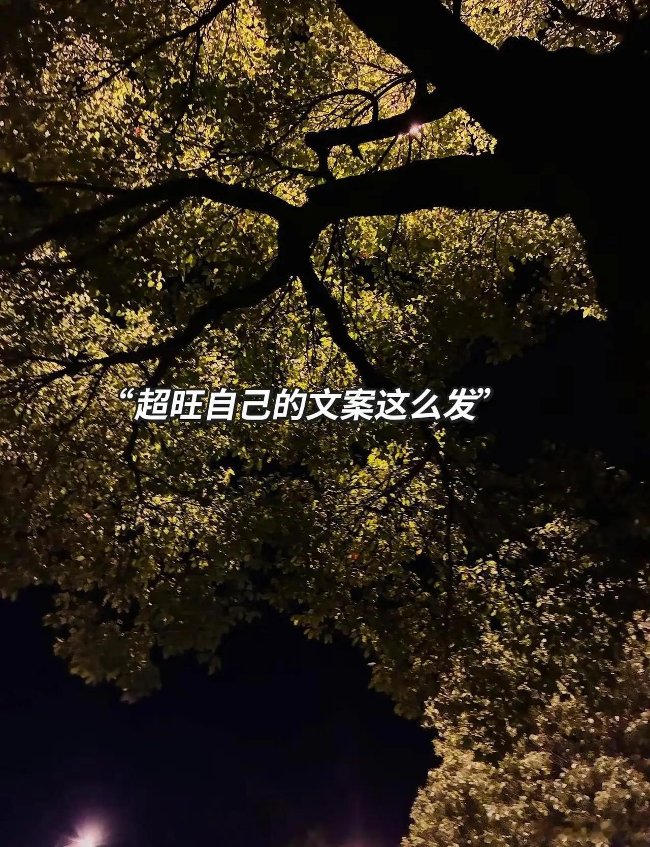 长期旺自己的人，都在悄悄养好自己的心态和。🌙🌸✨🔅慢慢沉淀自己，减少无谓内
