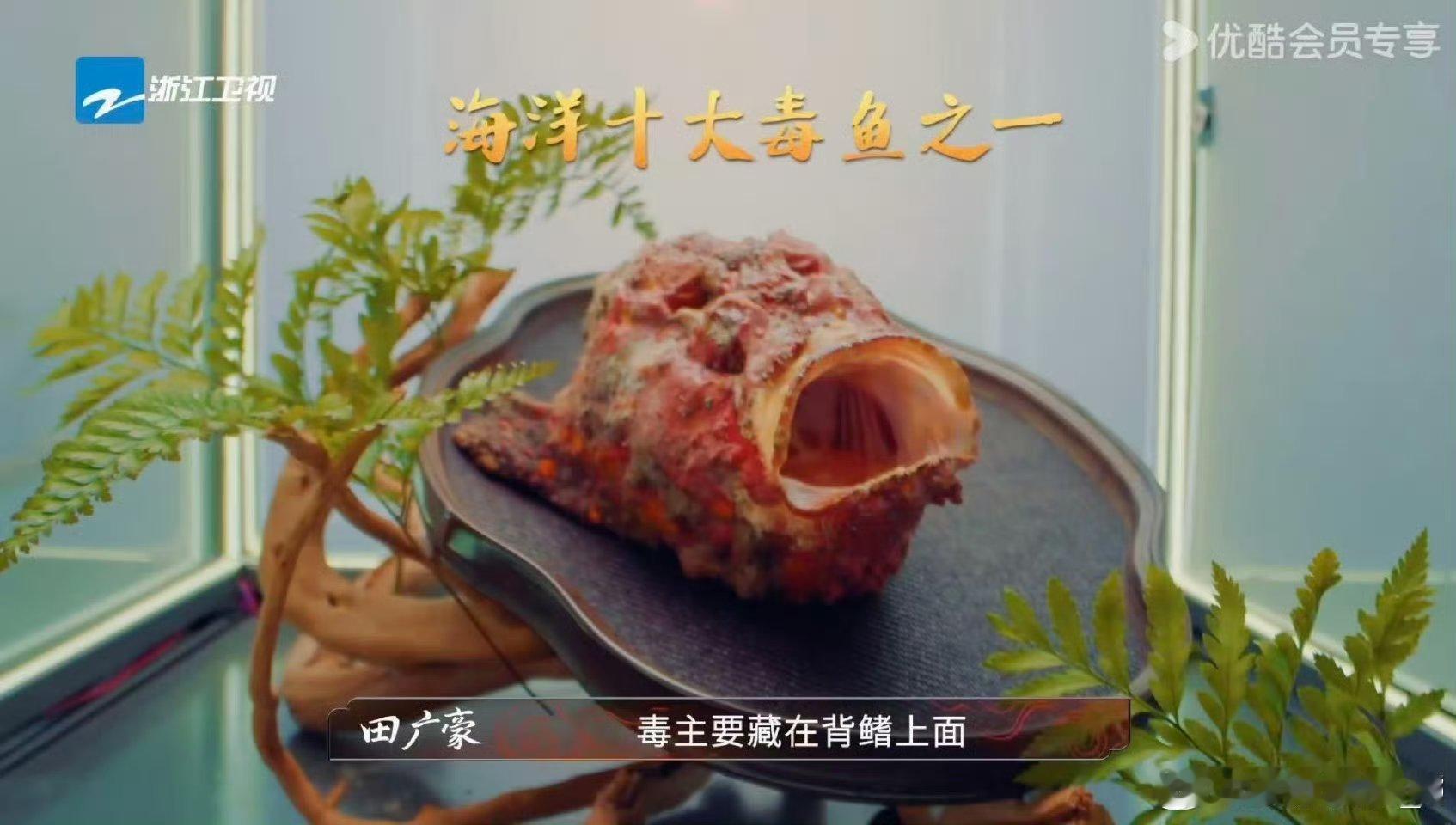 食材界的天花板来了炙热游戏百厨大战炙热游戏百厨大战 食材惊艳 菠萝蜜入菜太新奇[