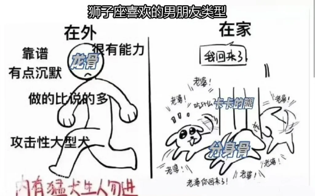 狮子女喜欢的男朋友类型👫