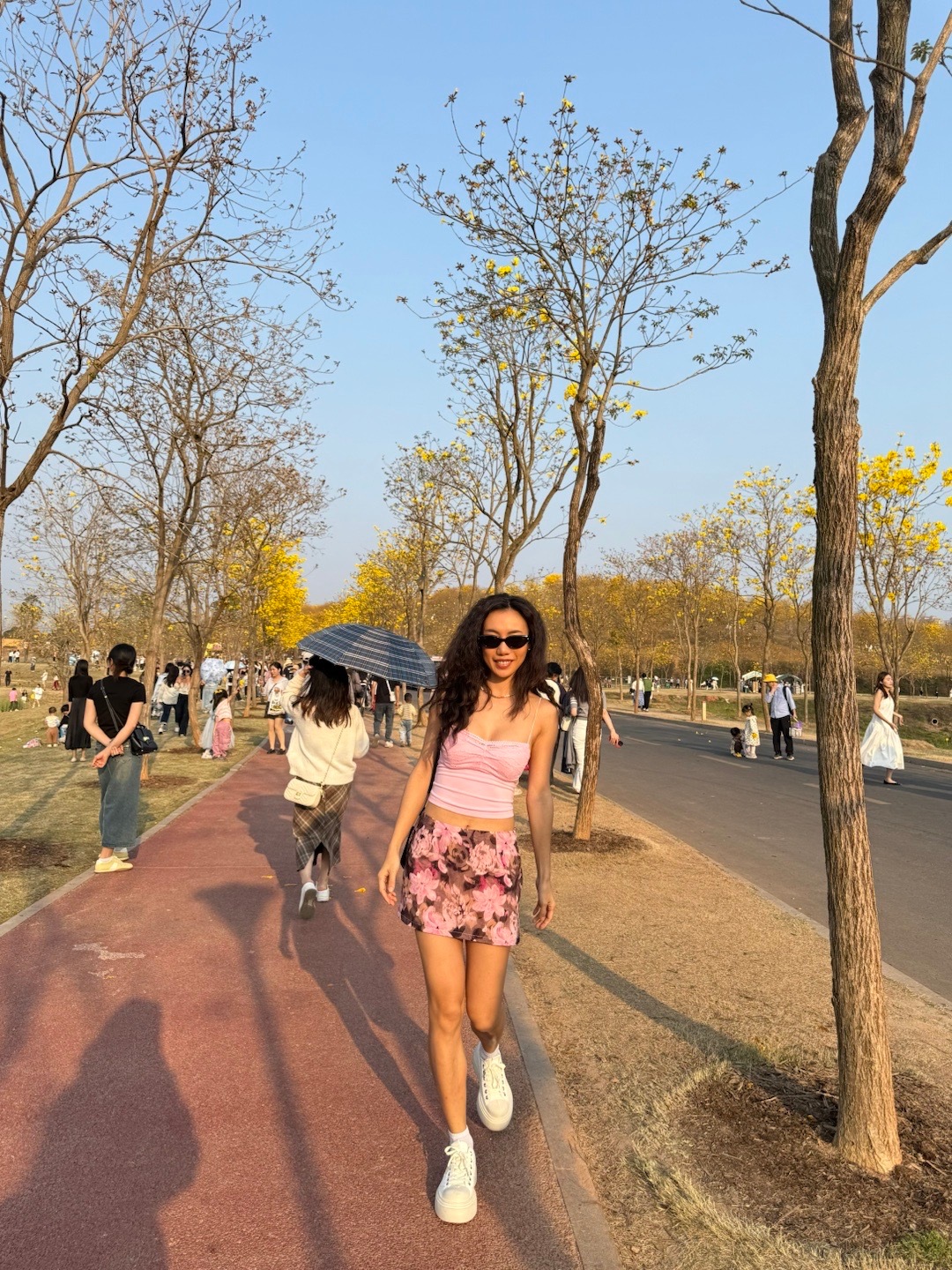 我和春天有个约会🌸黄花风铃木 ​​​